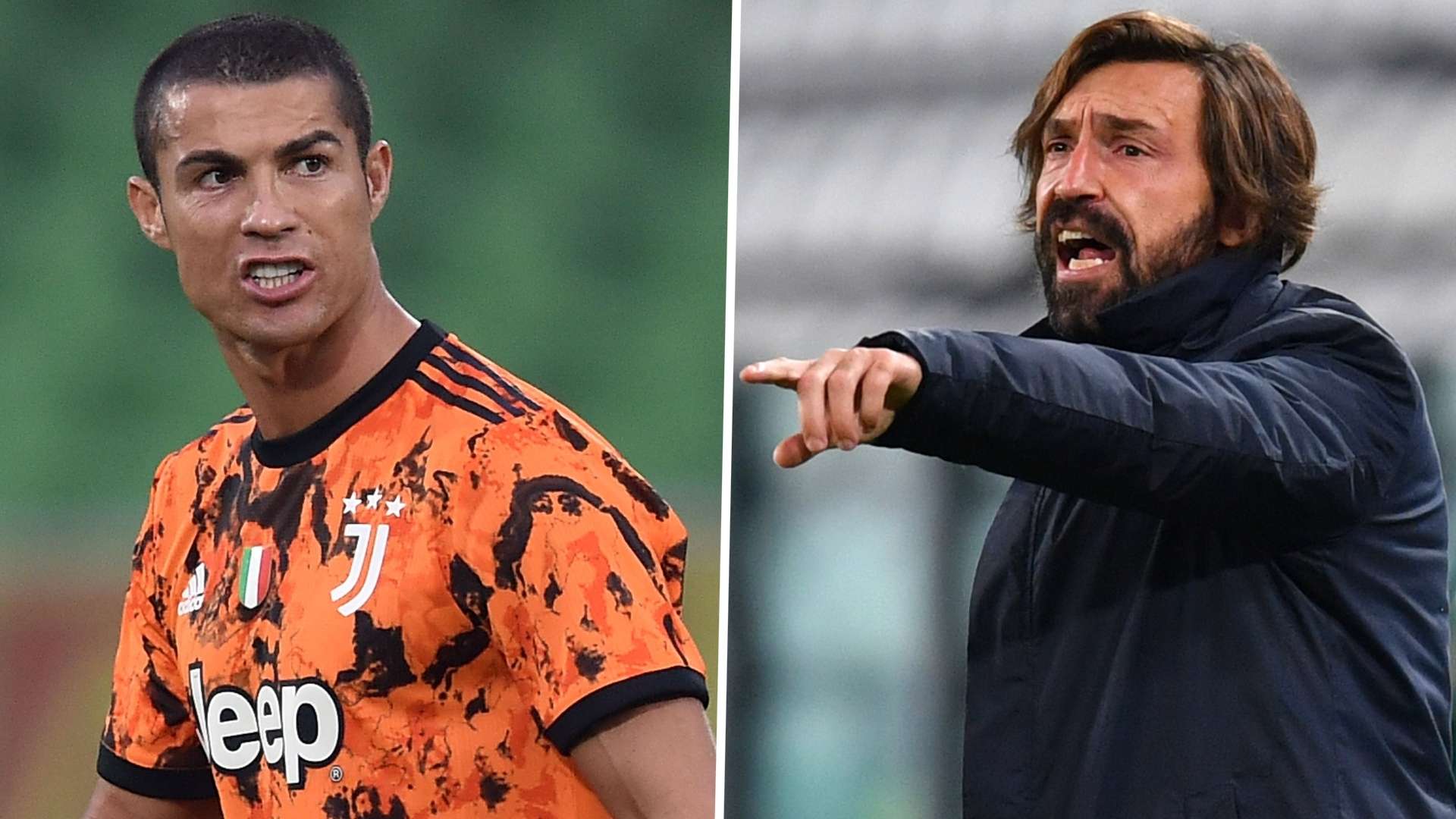 球迷奉献了 球迷奉献了